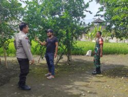 Bhabinkamtibmas Desa Paokmotong Lakukan Monitoring Tanaman Pekarangan Bergizi