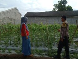Bhabinkamtibmas Desa Bagik Payung Selatan Periksa Lahan Ketahanan Pangan