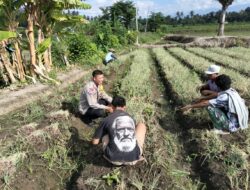 Dukung Program Ketahanan Pangan Bhabinkamtibmas Desa Bagik Papan Silaturahmi Ke Warga Binaan 