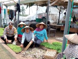 Bhabinkamtibmas Desa Wanasaba lakukan Pengecekan dan Pemeliharaan Program Ketahanan Pangan Bergizi di Desa Binaan