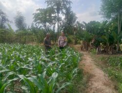 Bhabinkamtibmas Desa Pringgabaya Utara lakukan Silaturahmi dan Monitoring Program Ketahanan Pangan