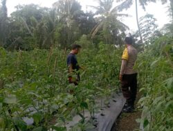 Personel Polsek Masbagik Cek Lahan Ketahanan Pangan Bergizi