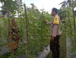 Bhabinkamtibmas Desa Kesik Cek Lahan Ketahanan Pangan Bergizi Bersama Warga
