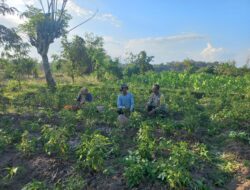 Bhabinkamtibmas Desa Suwangi Timur dukung Program Ketahanan Pangan sembari Sambangi Warga binaan