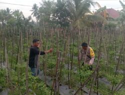 Bhabinkamtibmas Desa Kesik Lakukan Cek Lahan Ketahanan Pangan Bergizi Milik Warga Binaan