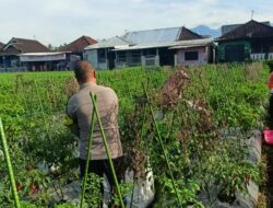 Bhabinkamtibmas Masbagik Utara Aktif Pantau Ketahanan Pangan dan Jaga Kamtibmas