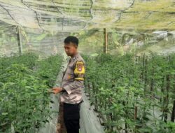 Bhabinkamtibmas Desa Kumbang Laksanakan Silaturahmi dan Monitoring Ketahanan Pangan