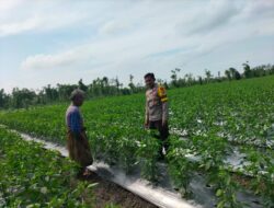 Bhabinkamtibmas Desa Sakra Selatan Lakukan Silaturahmi dan Cek Ketahanan Pangan