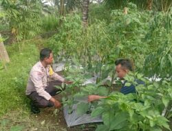 Bhabinkamtibmas Desa Kesik Cek Lahan Ketahanan Pangan Bergizi