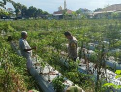 Bhabinkamtibmas Masbagik Utara Laksanakan Silaturahmi dan Kontrol Pertanian Dukung Ketahanan Pangan