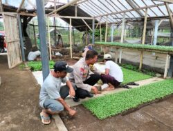 Bhabinkamtibmas Desa Bagik Papan Silaturahmi dan Cek Lokasi Pembibitan Pertanian Guna Mendukung Program Ketahanan Pangan