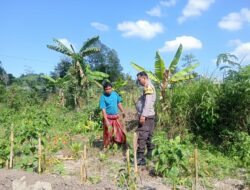 Bhabinkamtibmas Desa Masbagik Utara Baru lakukan Silaturahmi dan Monitoring Ketahanan Pangan