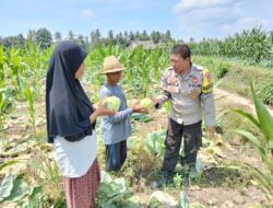 Bhabinkamtibmas Desa Bagik Papan Lakukan Pengecekan Lahan Ketahanan Pangan dan Silaturahmi dengan Warga