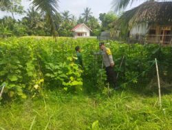 Bhabinkamtibmas Desa Lendang Nangka Tinjau Lahan Ketahanan Pangan Bergizi Bersama Kelompok Tani