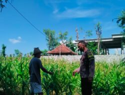 Bhabinkamtibmas Montong Belae Gelar Silaturahmi dan Cek Lahan Ketahanan Pangan