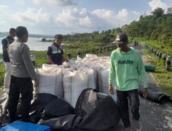 Kapolsek Terara Tinjau Hasil Panen Jagung di Desa Pandanduri