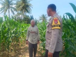 BHABINKAMTIBMAS DESA PRINGGABAYA UTARA DUKUNG KETAHANAN PANGAN DAN CIPTAKAN KAMTIBMAS KONDUSIF