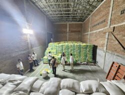 Polres Lombok Timur Gerebek Gudang Beras Oplosan, 110 Ton Beras Diamankan