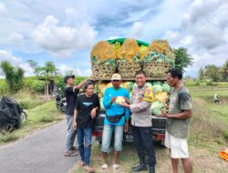 Bripka Agus Salim Lakukan Silaturahmi dan Cek Panen Sayur di Desa Bagik Papan