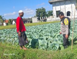 Bhabinkamtibmas Desa Danger Lakukan Giat Silaturahmi Dan Monitoring Ketahanan Pangan
